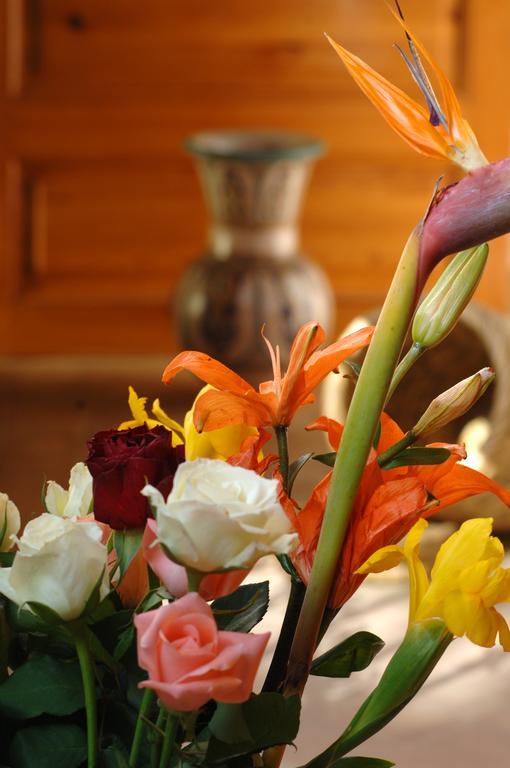 Dar Tasnime Hotel Marrakesh Room photo